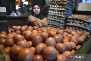 Kenaikan harga telur ayam picu inflasi bulan Mei 0,40 persen