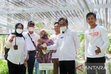 Inisiator ekowisata Sungai Kupah Kubur Raya sabet Kalpataru 2022