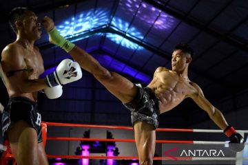 Kejuaraan muay Thai summer fights di Bali
