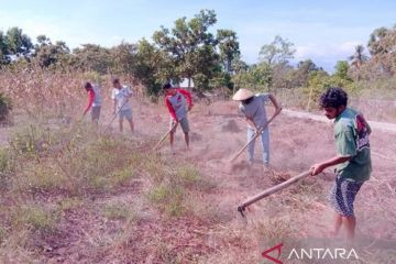 BMKG: Waspadai karhutla di tiga daerah di NTT