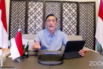 Luhut harap pasokan dan harga minyak goreng membaik dalam tiga minggu