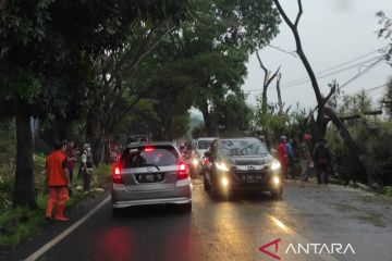 Pohon tumbang akses Cianjur menuju Puncak macet