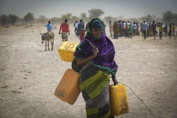 UNOCHA: Jutaan orang Ethiopia butuh bantuan pangan akibat kekeringan
