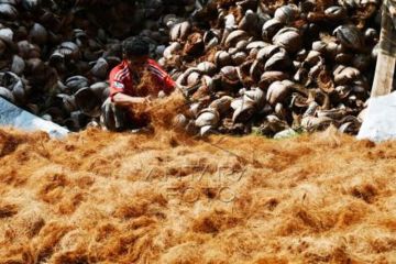 Usaha Pengolahan Sabut Kelapa Di Madiun