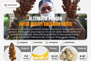 Alternatif pangan untuk hadapi ancaman krisis