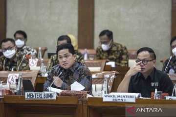 Rapat kerja Menteri BUMN dengan Komisi VI DPR