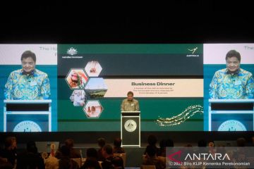 Kemitraan RI-Australia dorong peningkatan investasi energi bersih baru