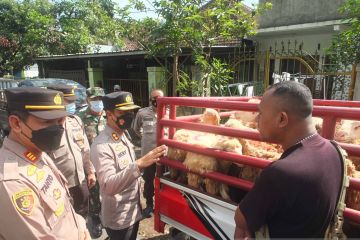 Polres Jember lakukan penyekatan lalu lintas ternak cegah PMK