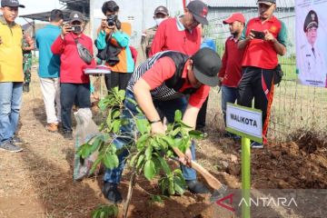 Cegah pemanasan global, Pekalongan tanam puluhan pohon di RTH