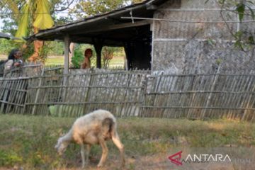 Puluhan ribu rumah di Karawang tidak layak huni