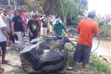 Pemkab Kediri gunakan alat berat pindah Arca Pentul dari sungai