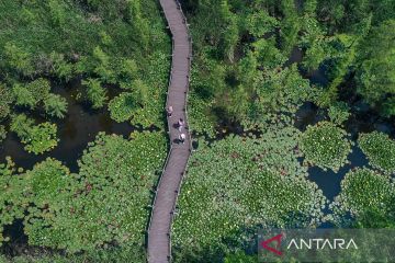 Keindahan Lahan Basah Danau Chishan di Nanjing