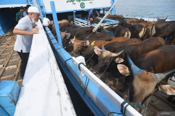 Pengawasan Lalu Lintas Ternak