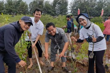 1.000 bibit mangrove ditanam mahasiswa NWDI di Lombok Barat