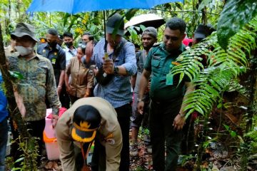 BBKSDA Papua Barat lepas puluhan reptil hasil sitaan