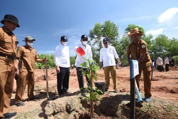 Hari lingkungan hidup