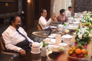 PDIP sambut baik rencana pertemuan Megawati-Surya Paloh