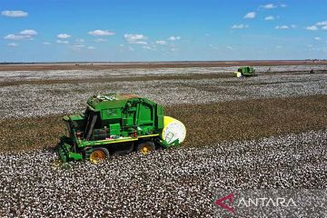 (220615) -- BAHIA, 15 Juni, 2022 (Xinhua) -- Sejumlah mesin pert