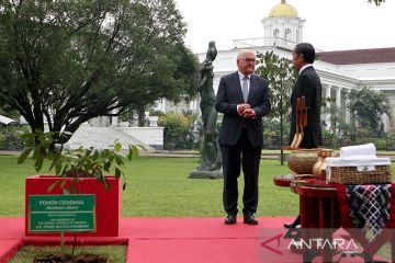 Jokowi terima kunjungan Presiden Jerman Frank-Walter Steinmeier