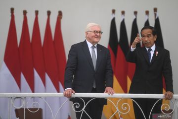 Jokowi dan Presiden Jerman diskusi soal situasi Ukraina