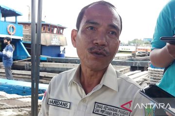 Antisipasi penularan PMK, 62 ekor kambing ilegal ditemukan di Batam