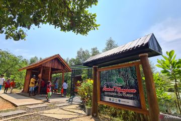 Chandra Asri Hadirkan Edu - Ekowisata Mangrove