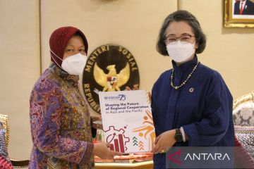 Indonesia jadi tuan rumah pertemuan tingkat tinggi bahas disabilitas