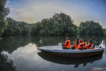 Mangrove, perubahan iklim dan komitmen Indonesia (2)