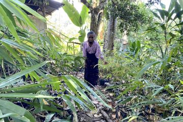Derap mama pelopor bambu Desa Rateroru memulai kisah bambu di Ende