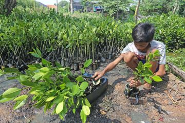 Komisi IV DPR sambut baik arahan Presiden untuk rehabilitasi hutan