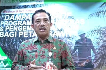 Program PSR dinilai jamin usaha sawit berkelanjutan