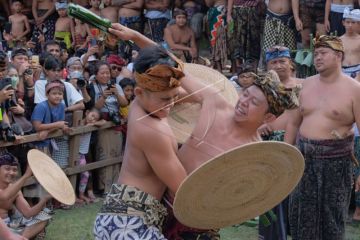 Tradisi perang pandan di Tenganan kembali digelar