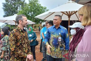 Australia apresiasi program peternakan sapi di lahan sawit Kalsel