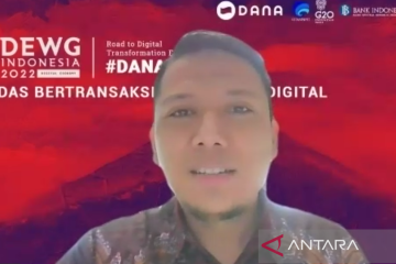 BI ungkap strategi cegah kejahatan siber di ekosistem ekonomi digital