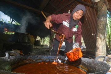 Produksi Gula Saka Lawang