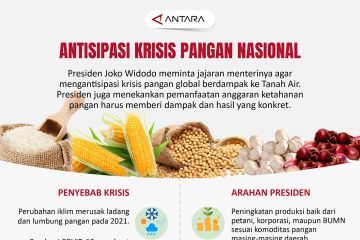 Antisipasi krisis pangan nasional