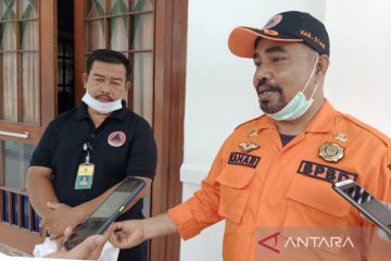 11 hektare lahan di Siak terbakar selama 2022