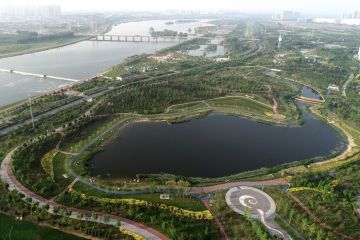China berupaya tingkatkan efektivitas investasi ekologi dan lingkungan