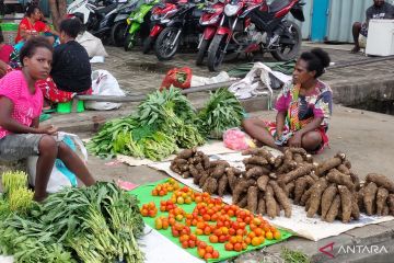 PKK Pusat: Stunting di Papua Barat bisa ditekan dengan pangan lokal