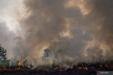 Upaya Pemadaman Kebakaran Lahan di Ogan Ilir