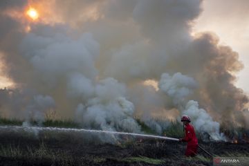 Upaya Pemadaman Kebakaran Lahan di Ogan Ilir
