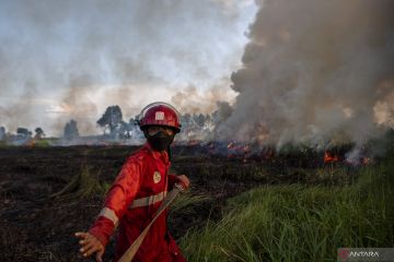 Upaya pemadaman kebakaran lahan di Ogan Ilir