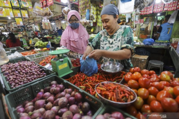 Pakar : Ketahanan pangan perlu digalakkan untuk hadapi resesi