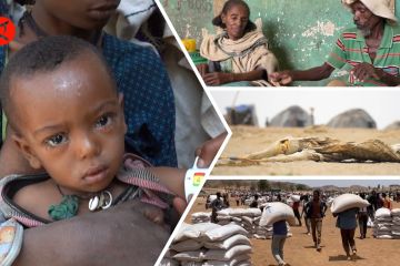 Selain kelaparan, 20 juta warga Ethiopia hadapi konflik dan kekeringan