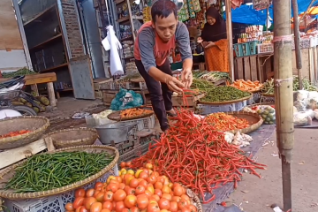 Harga cabai di Kota Cilegon capai Rp100 ribu per kg