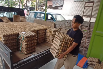 Harga melonjak, pasokan telur ayam di Kota Cilegon aman