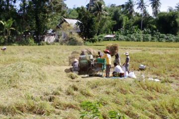 IPDMIP berperan tingkatkan nilai tambah produktivitas pertanian