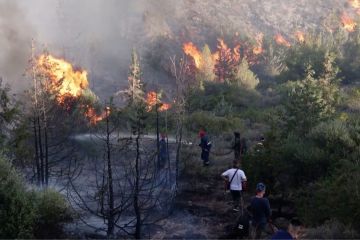 Kebakaran hutan berkobar di pinggiran Athena