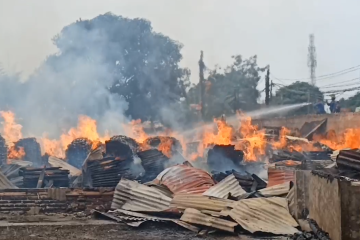 Pabrik pengolahan kayu palet ekspor di Serang ludes terbakar