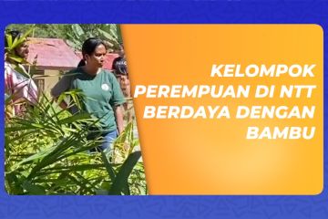 Kelompok perempuan di NTT berdaya dengan bambu